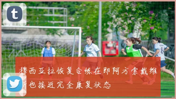 穆西亚拉恢复合练在即阿方索戴维斯也接近完全康复状态